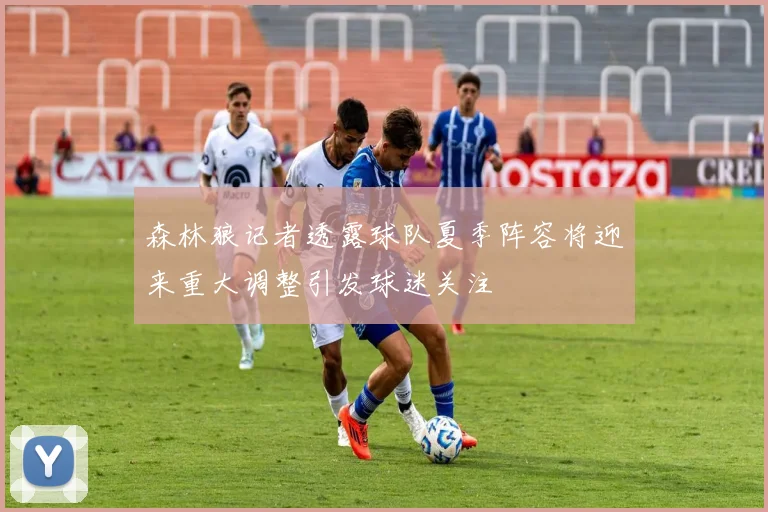 森林狼记者透露球队夏季阵容将迎来重大调整引发球迷关注