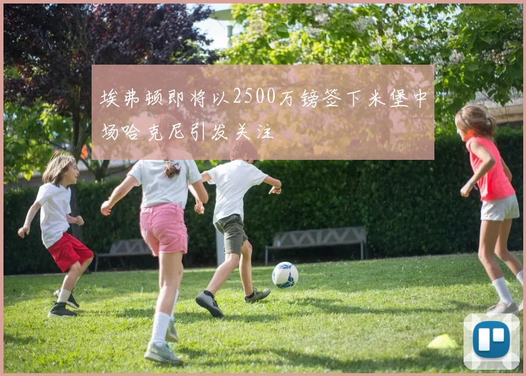 埃弗顿即将以2500万镑签下米堡中场哈克尼引发关注